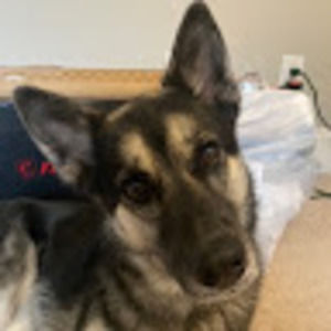 Meet your Posher, Emma s.